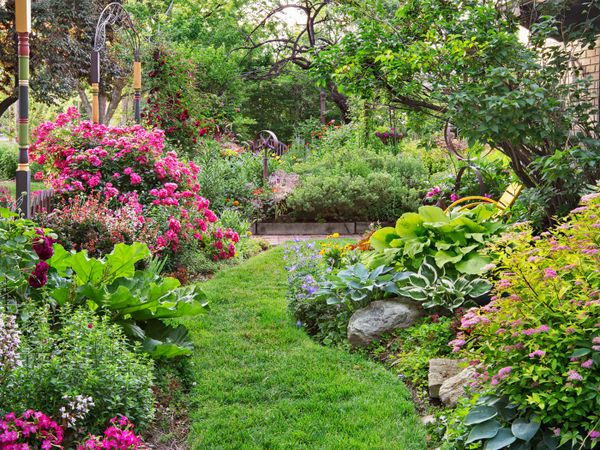 A lush garden that has been cared for